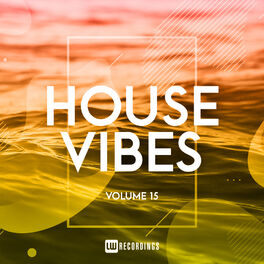 Album cover of House Vibes, Vol. 15