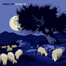 Album cover of Moonlight Loops