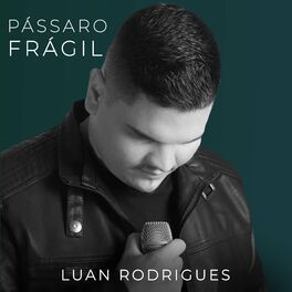 Album cover of Pássaro Frágil