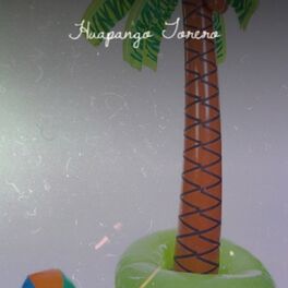Album cover of Huapango Torero