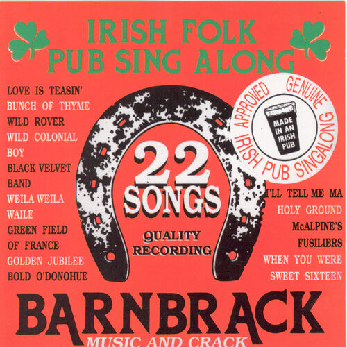 barnbrack-22-irish-folk-pub-songs-lyrics-and-songs-deezer