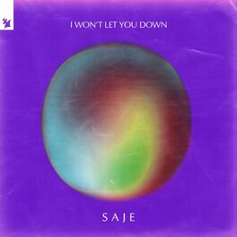 Album cover of I Won't Let You Down