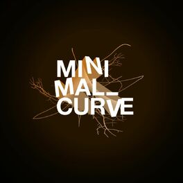 Album cover of Minimal Curve