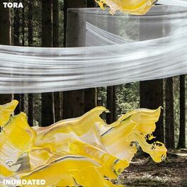 Album cover of Inundated