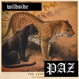 Album cover of Wildside