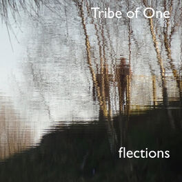 Album cover of Flections