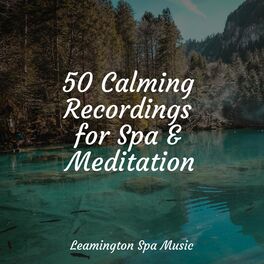 Album cover of 50 Calming Recordings for Spa & Meditation