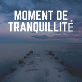 Album cover of Moment de Tranquillité