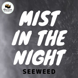 Album cover of Mist in the Night