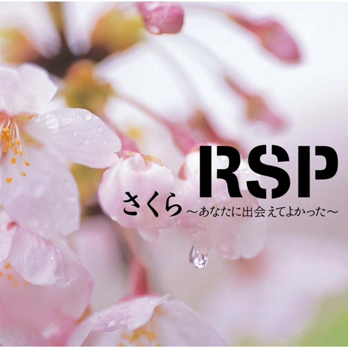 rsp さくら カバー