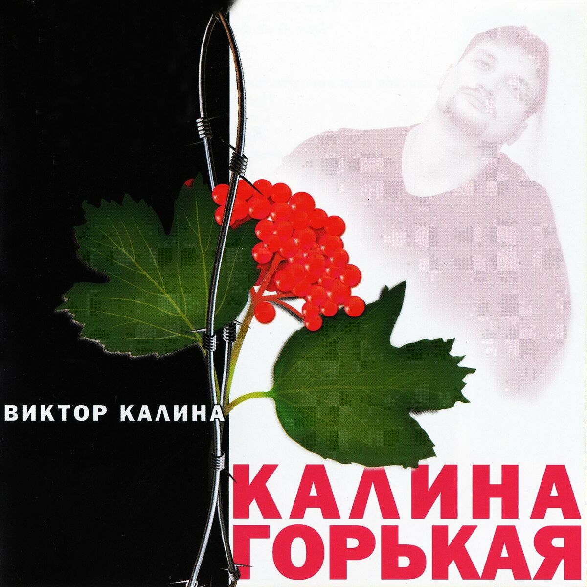 Виктор Калина: albums, songs, playlists | Listen on Deezer