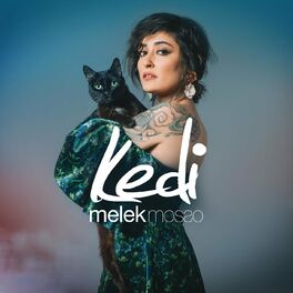 Album cover of Kedi