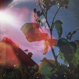 Album cover of Freedom Street (Remixes)