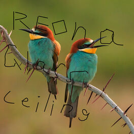 Album cover of Glass ceiling