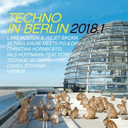 Album cover of Techno in Berlin 2018.1