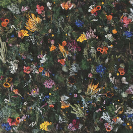 Album cover of Echo Of Youth