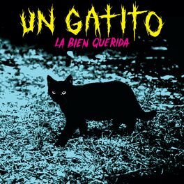 Album cover of Un Gatito