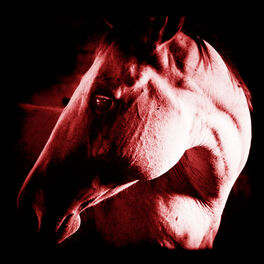 Album cover of How to Kill a Horse