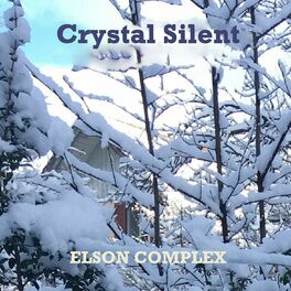 Album cover of Crystal Silent