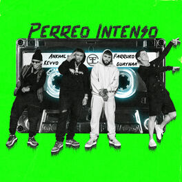 Album cover of Perreo Intenso