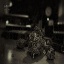 Album cover of 42 Gramm