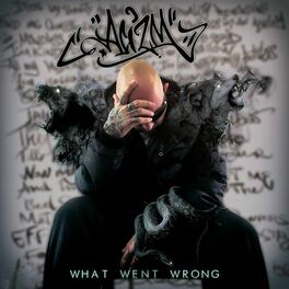 Album cover of What Went Wrong