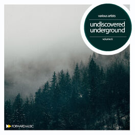 Album cover of Undiscovered Underground, Vol. 6