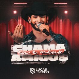 Album cover of Chama Eu e Meus Amigos