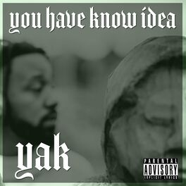 Album cover of You Have Know Idea