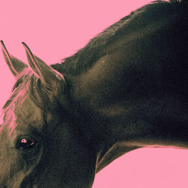 Album cover of Cavalo e Catarse
