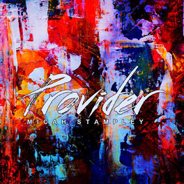 Album cover of Provider (Radio Edit)