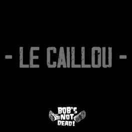 Album cover of Le caillou