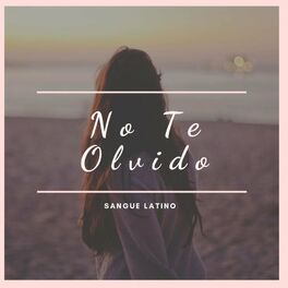 Album cover of No Te Olvido
