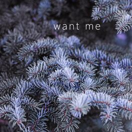 Album cover of want me