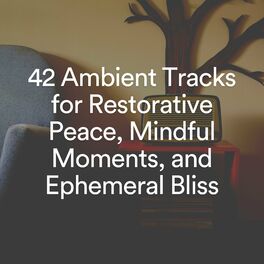Album cover of 42 Ambient Tracks for Restorative Peace, Mindful Moments, and hemeral Bliss - EP