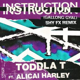 Album cover of Instruction (Gallong Gal) (Shy FX Remix)