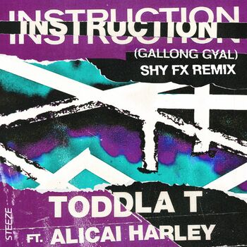 Instruction (Gallong Gal) cover