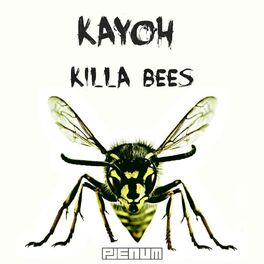 Album cover of Killa Bees