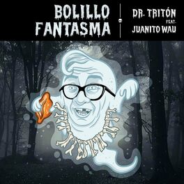 Album cover of Bolillo Fantasma