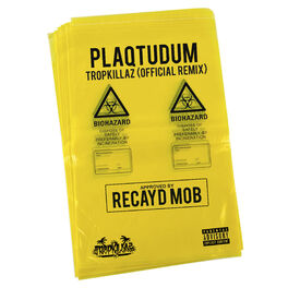 Album cover of Plaqtudum (Tropkillaz Remix)