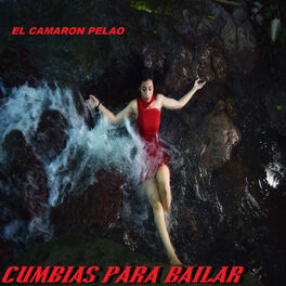 Album cover of El Camaron Pelao