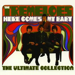 Album cover of Here Comes My Baby : The Ultimate Collection
