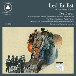 Album cover of The Diver