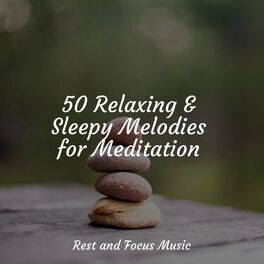 Album cover of 50 Relaxing & Sleepy Melodies for Meditation