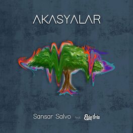 Album cover of Akasyalar
