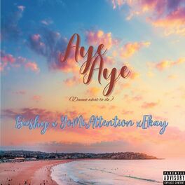 Album cover of Aye (feat. Bashy & ÉKAY)