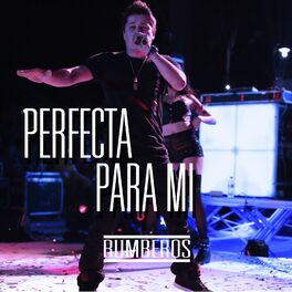 Album cover of Perfecta Para Mi
