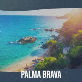 Album cover of Palma Brava