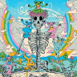 Grateful Dead and Company 6/30/17 2017 Wrigley Field Chicago -  Hong  Kong