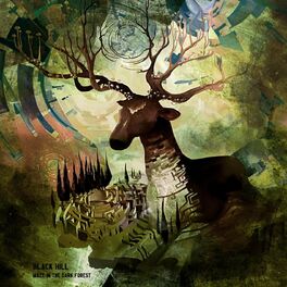 Album cover of Maze in the dark forest
